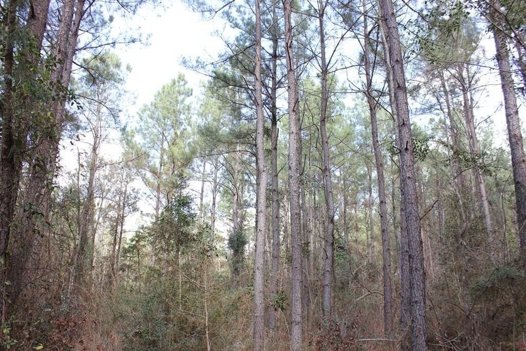 66.08 acres in Texas County - photo 12