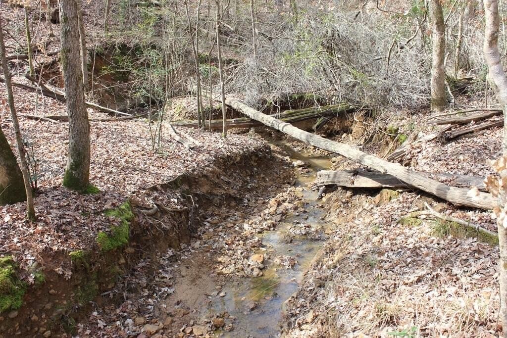 66.08 acres in Texas County - photo 16