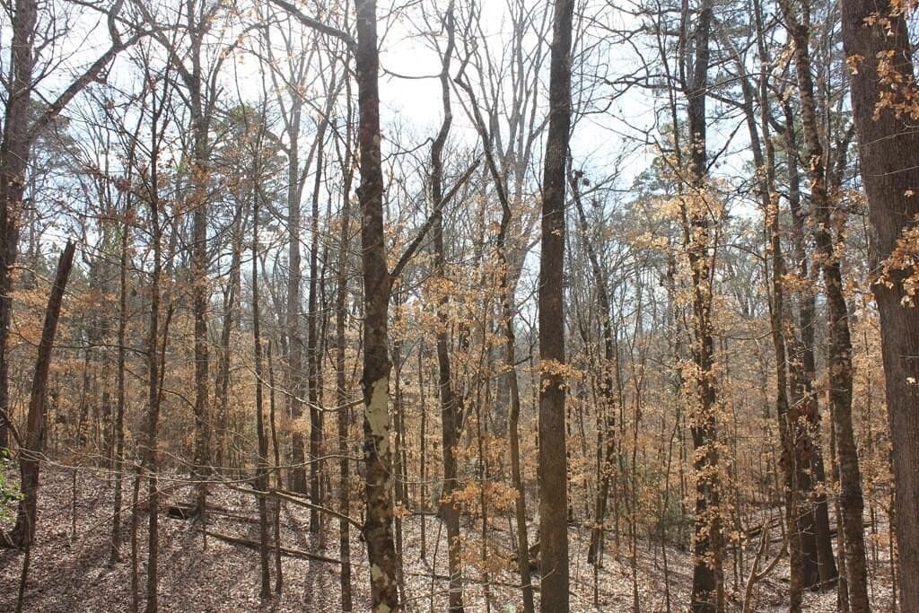 66.08 acres in Texas County - photo 19