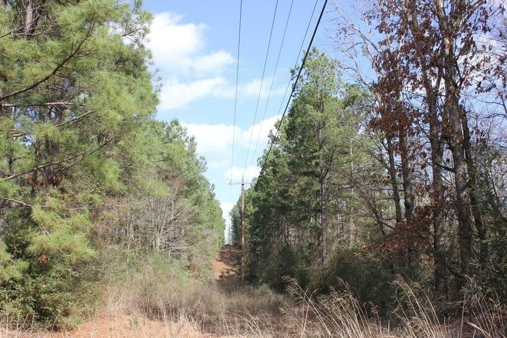 66.08 acres in Texas County - photo 8
