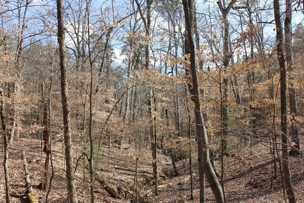 66.08 acres in Texas County - photo 18