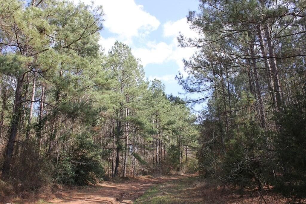 66.08 acres in Texas County