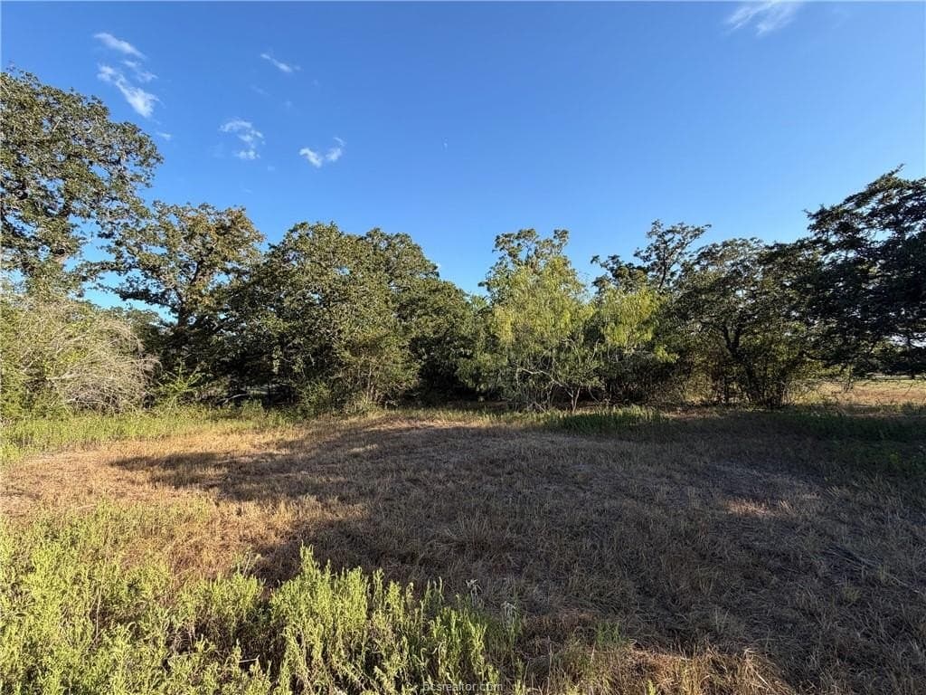 1.18 acres in Brazos County - photo 2