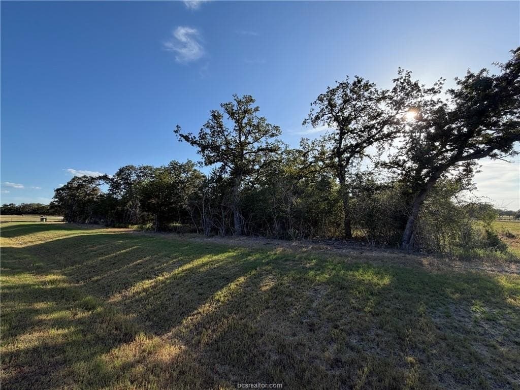 1.18 acres in Brazos County - photo 5
