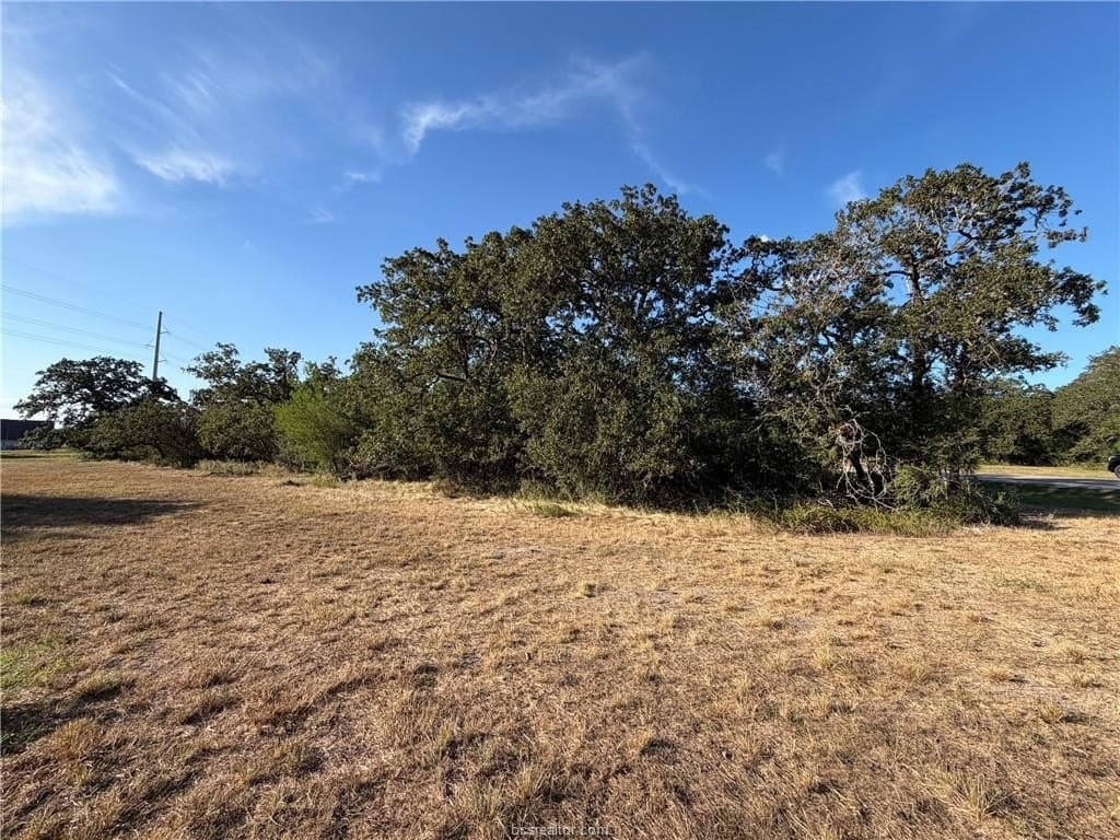 1.18 acres in Brazos County - photo 4