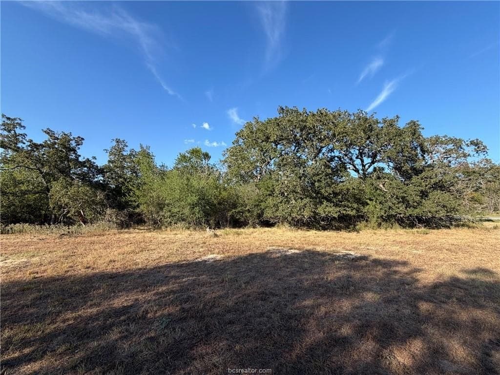1.18 acres in Brazos County - photo 3
