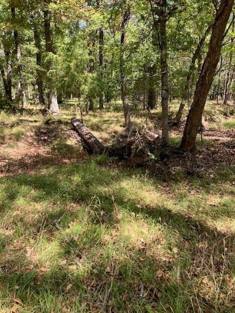 11.06 acres in Lamar County
