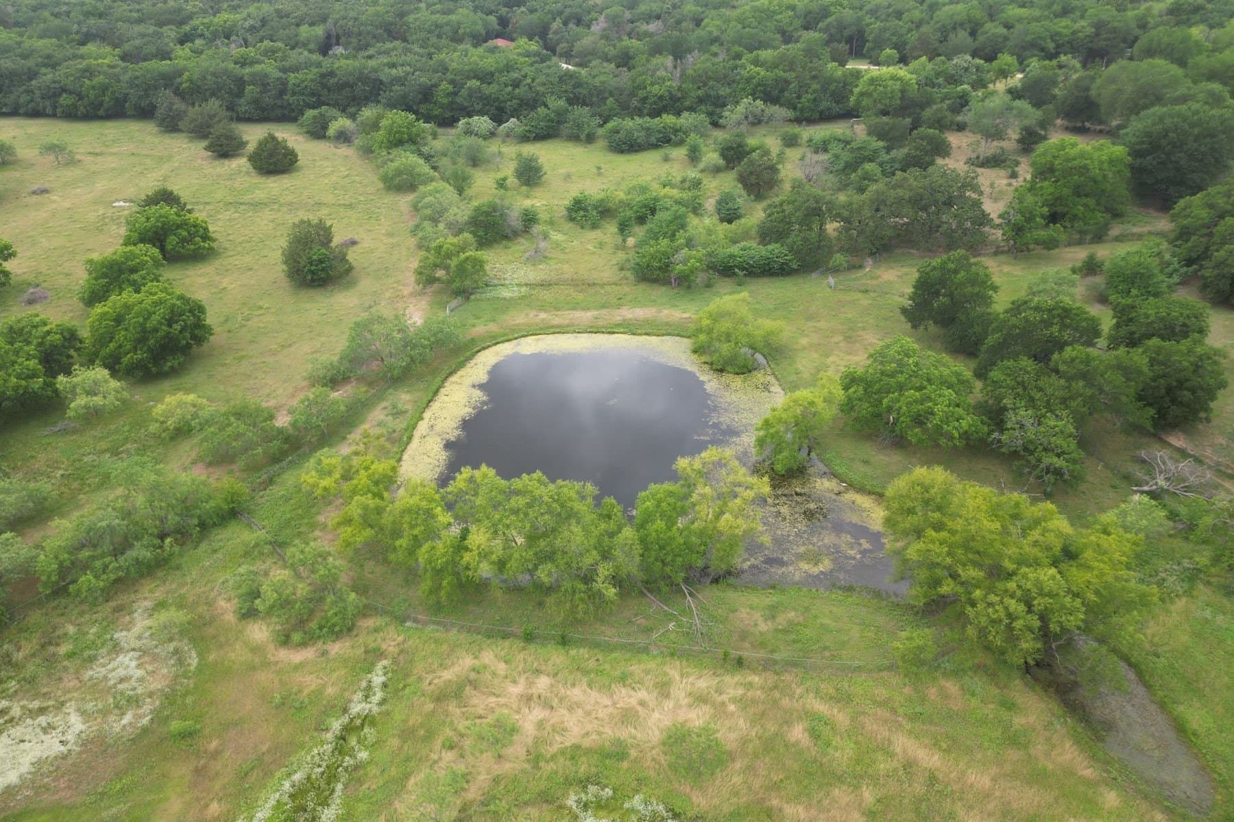 35 acres in Dallas County gallery image 3