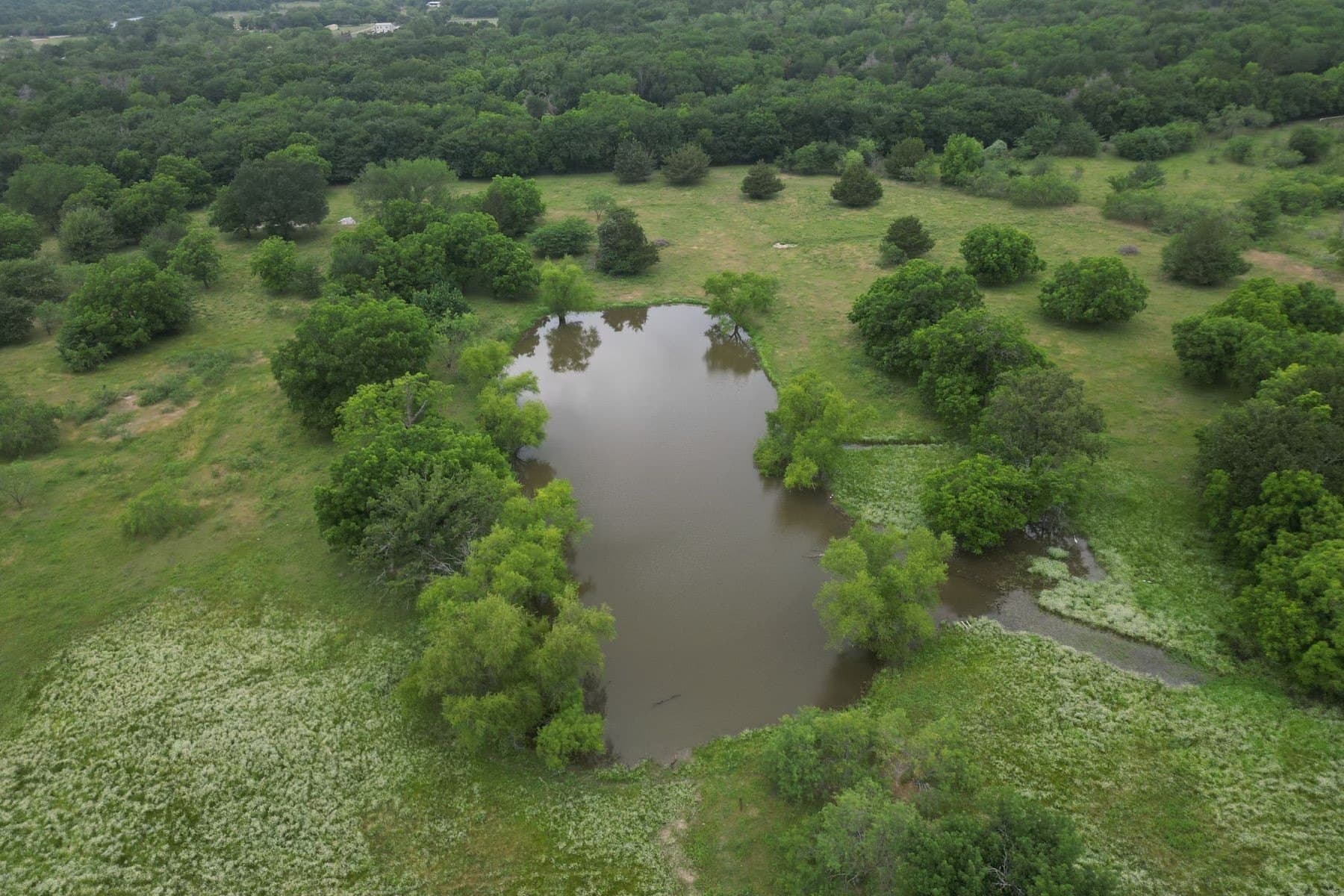 35 acres in Dallas County gallery image 4