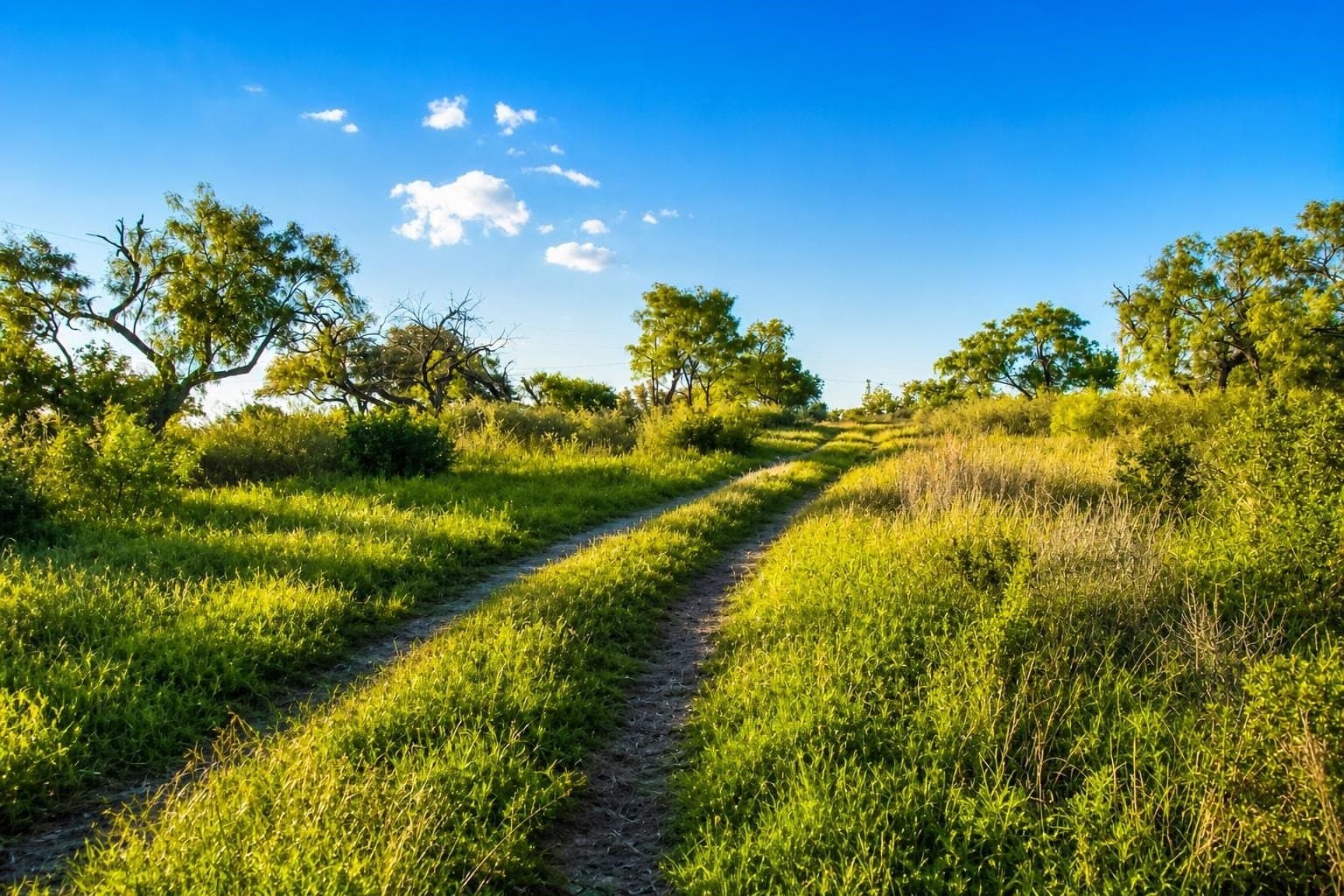 5.25 acres in Llano County - photo 13
