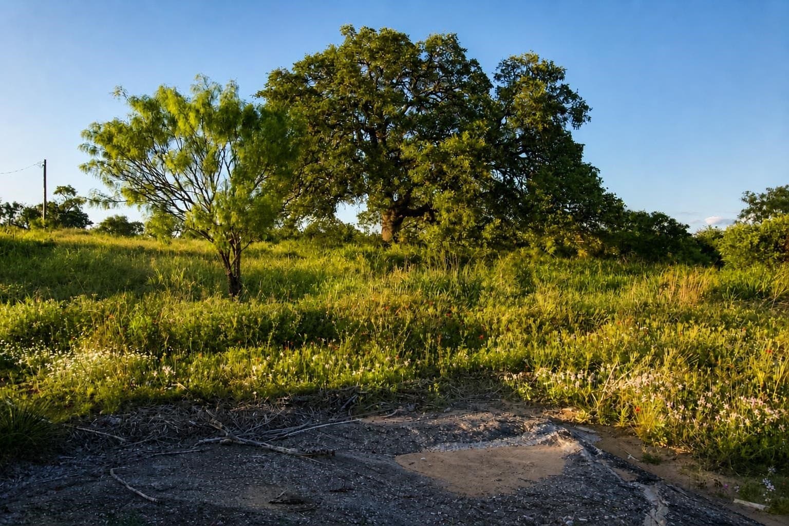5.25 acres in Llano County - photo 11