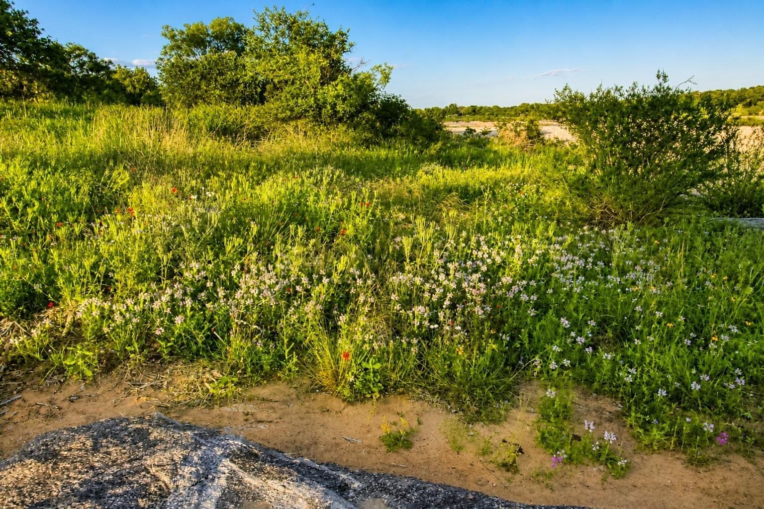 5.25 acres in Llano County - photo 12