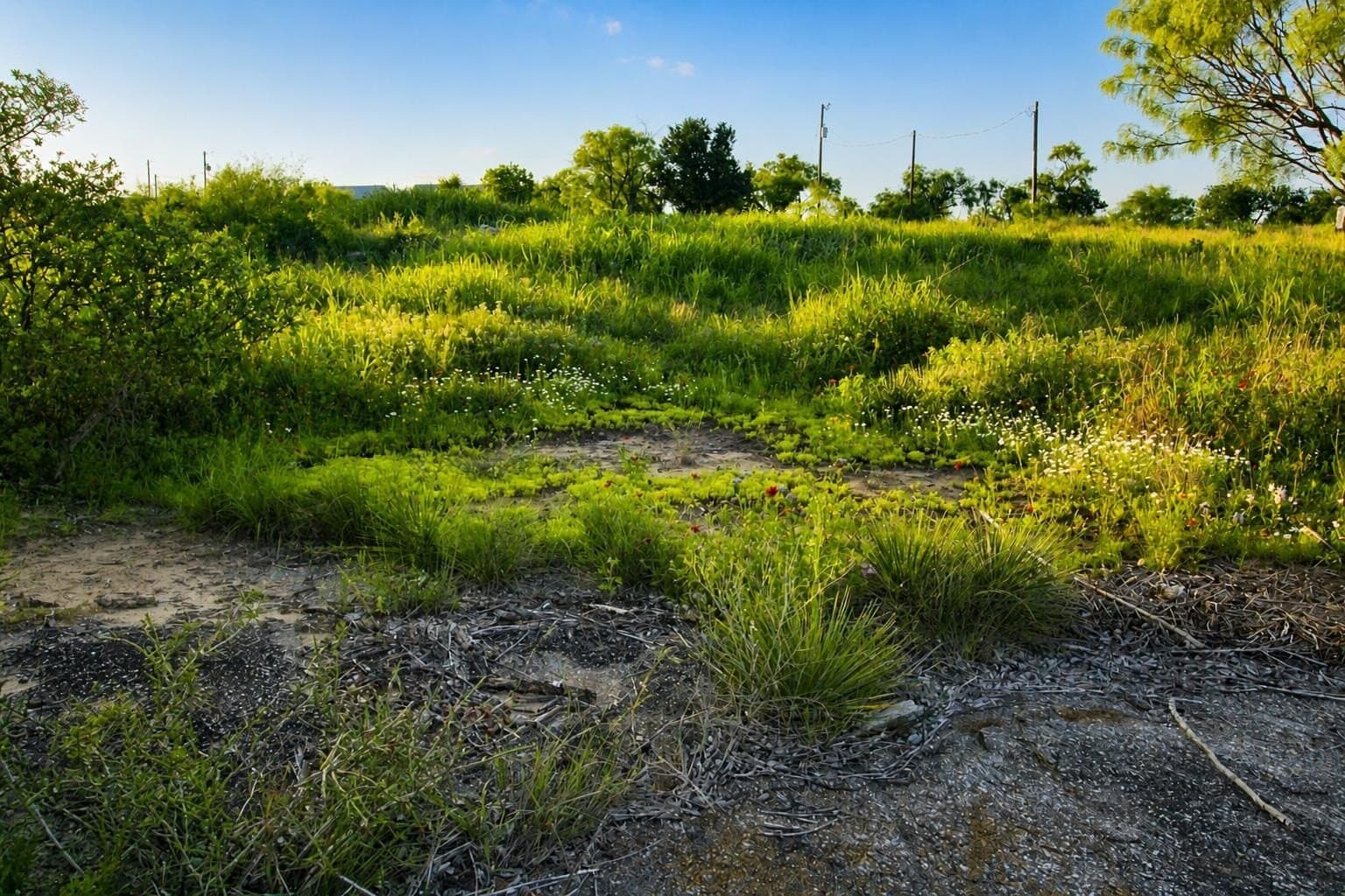 5.25 acres in Llano County - photo 7