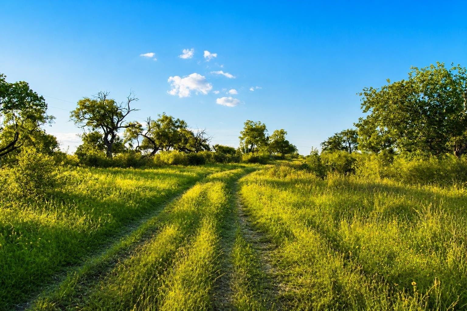 5.25 acres in Llano County - photo 10