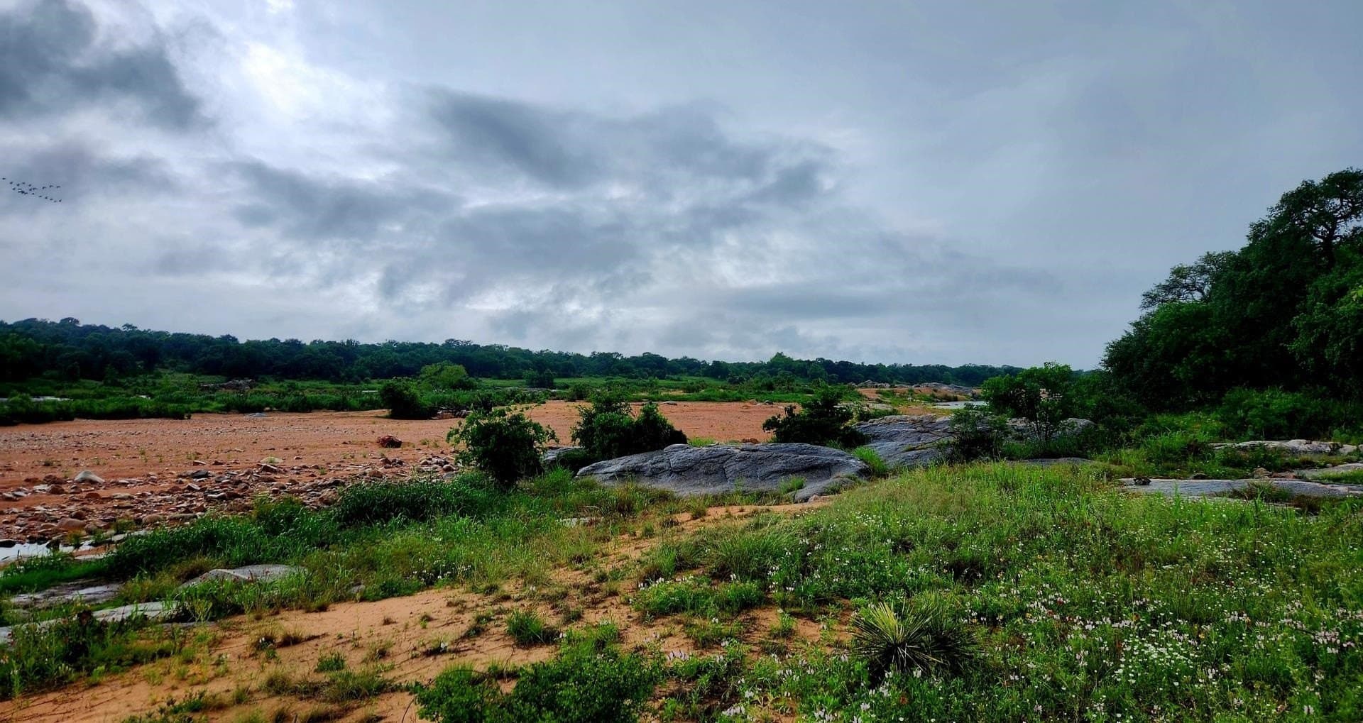 5.25 acres in Llano County gallery image 4