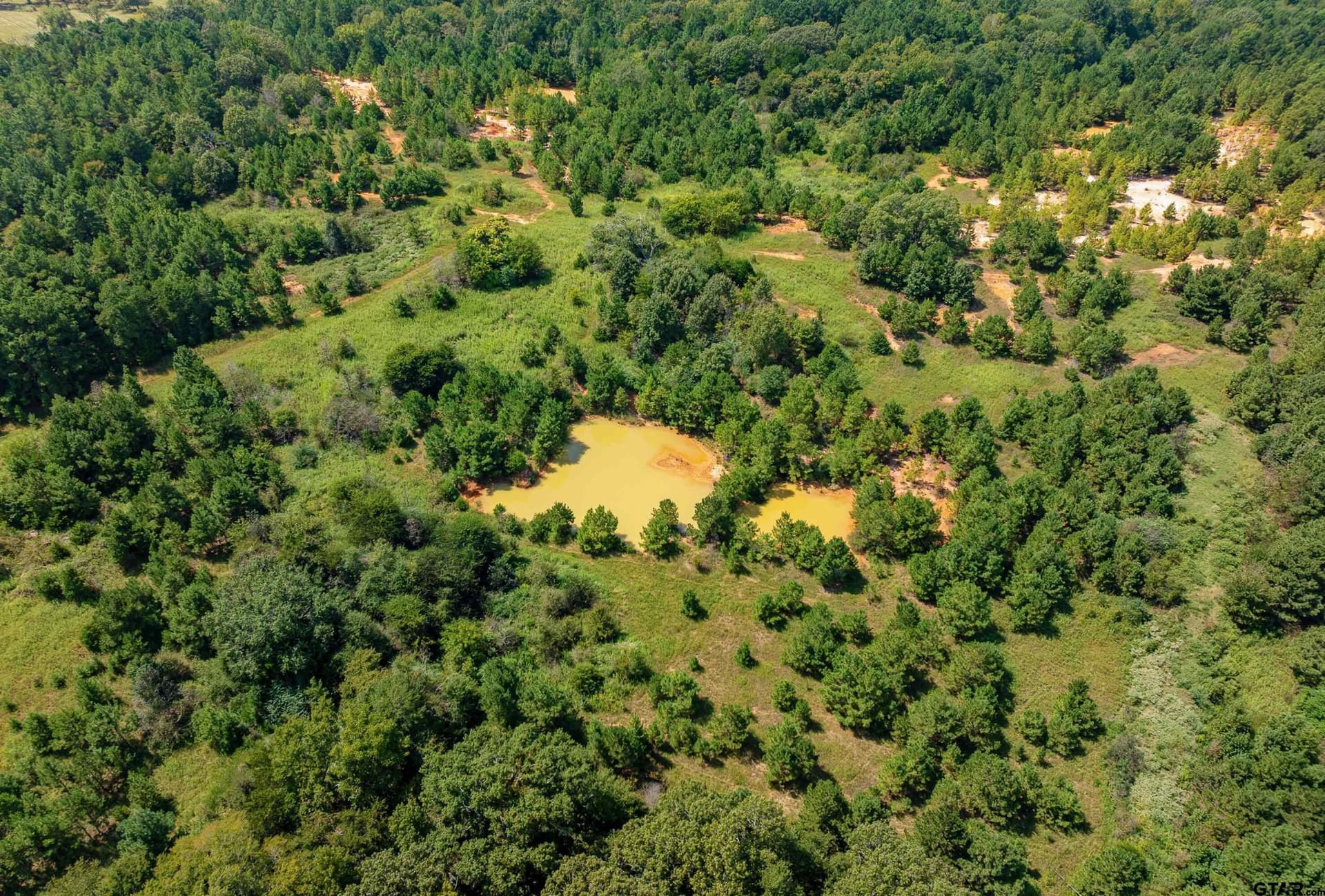 123 acres in Smith County - photo 4