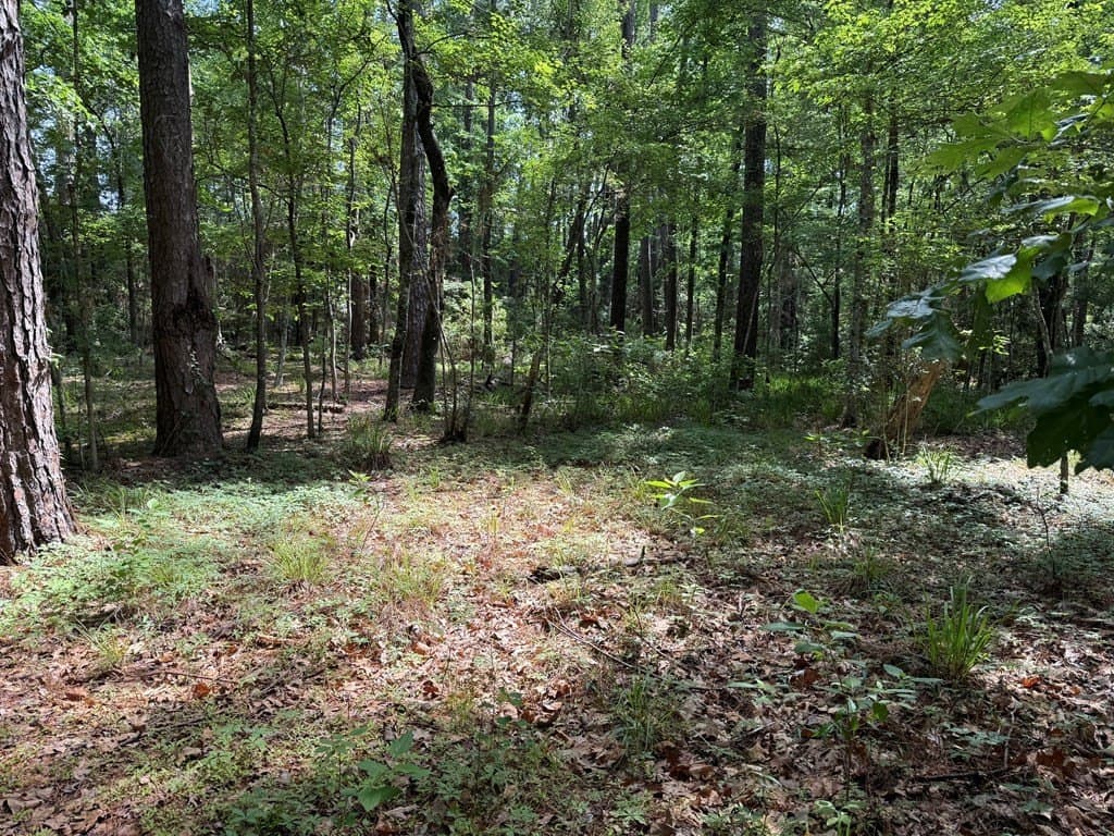 0.49 acres in Texas County - photo 7