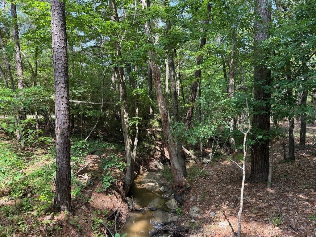 0.49 acres in Texas County - photo 6