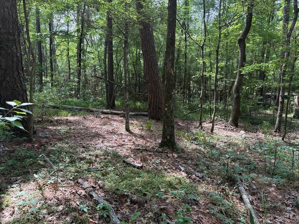 0.49 acres in Texas County - photo 8
