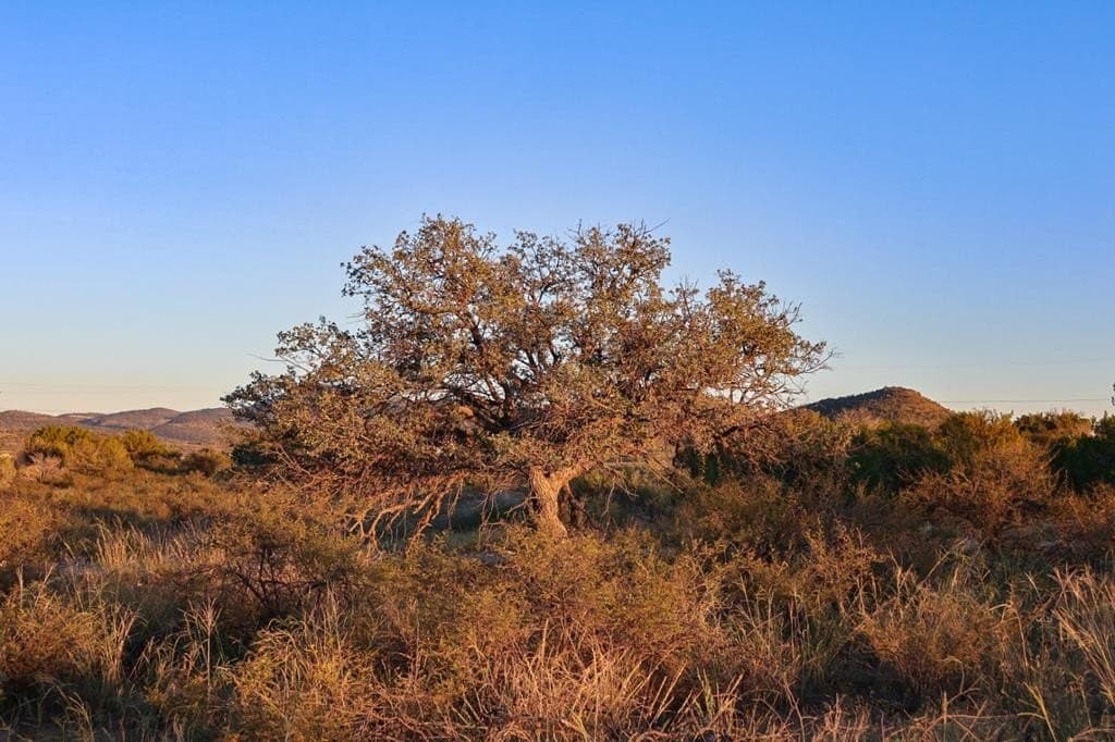 3.78 acres in Brewster County