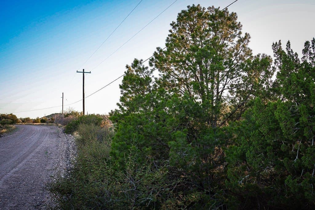 3.78 acres in Brewster County - photo 3
