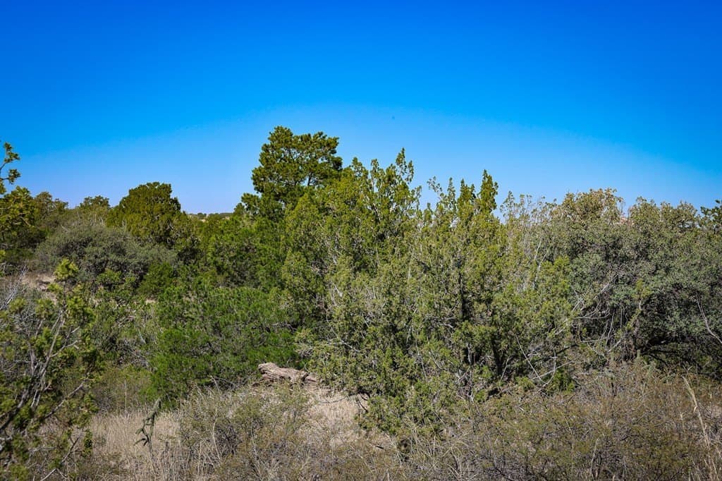 3.78 acres in Brewster County - photo 10