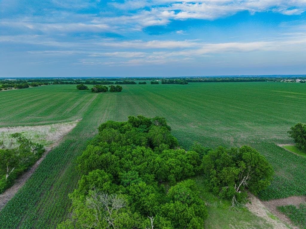 18.03 acres in McLennan County featured view
