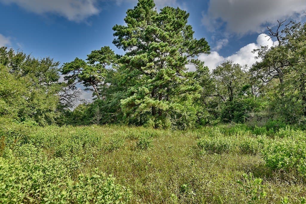 5.72 acres in Grimes County - photo 10