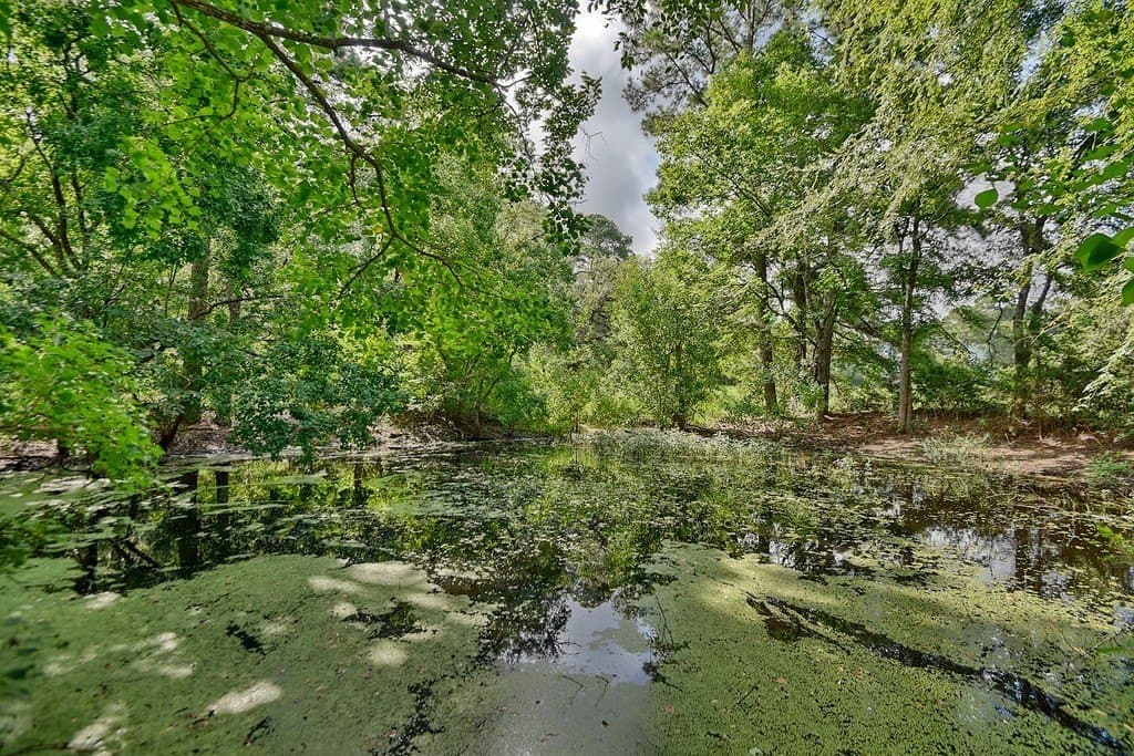 5.72 acres in Grimes County - photo 8