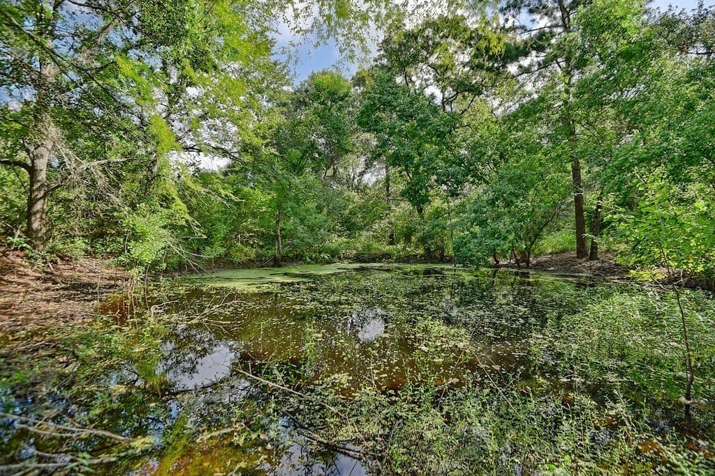 5.72 acres in Grimes County - photo 9