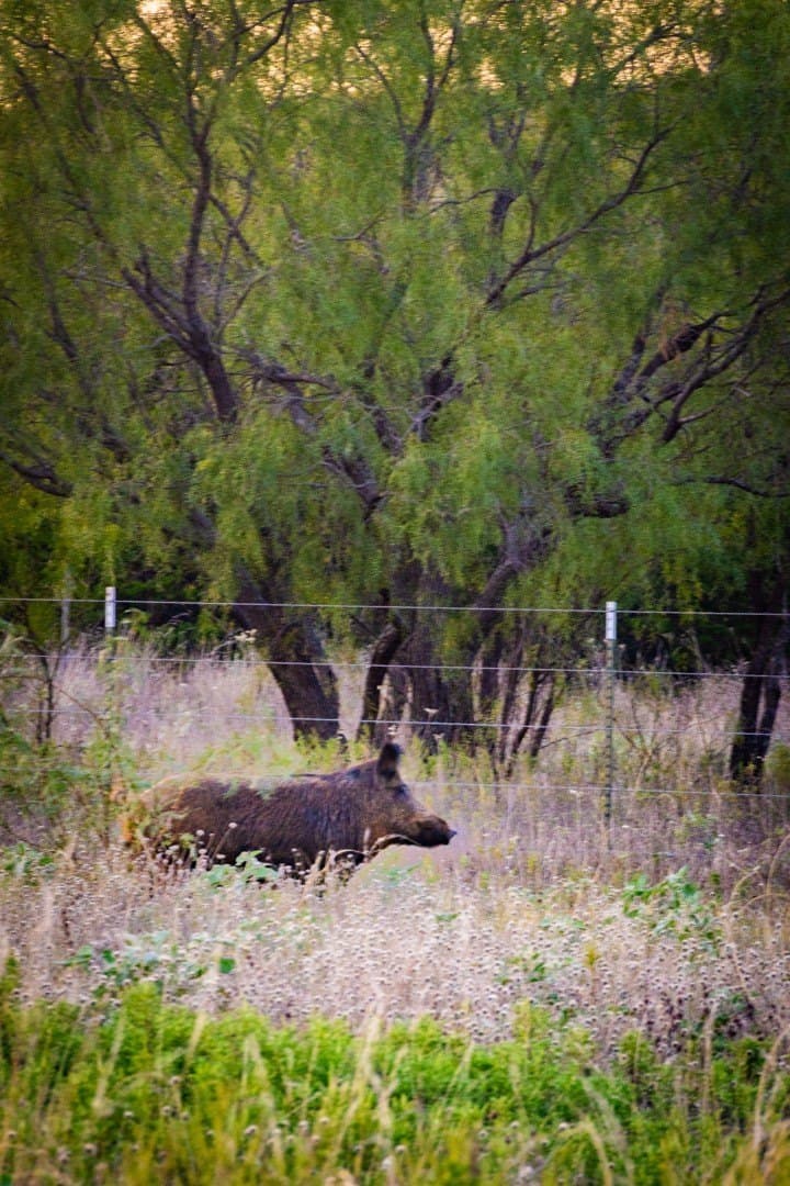 10 acres in Palo Pinto County - photo 30