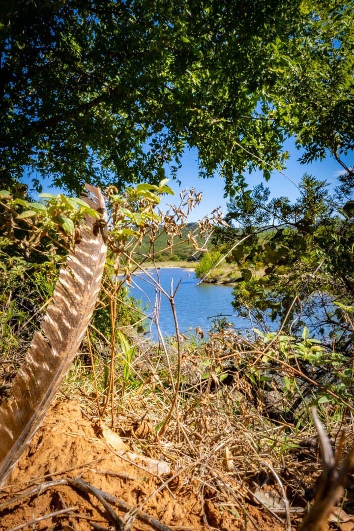 10 acres in Palo Pinto County - photo 19