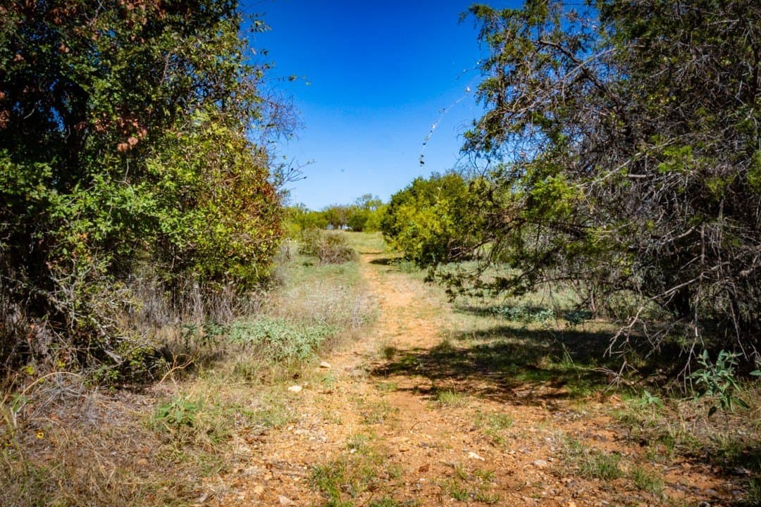 10 acres in Palo Pinto County - photo 22