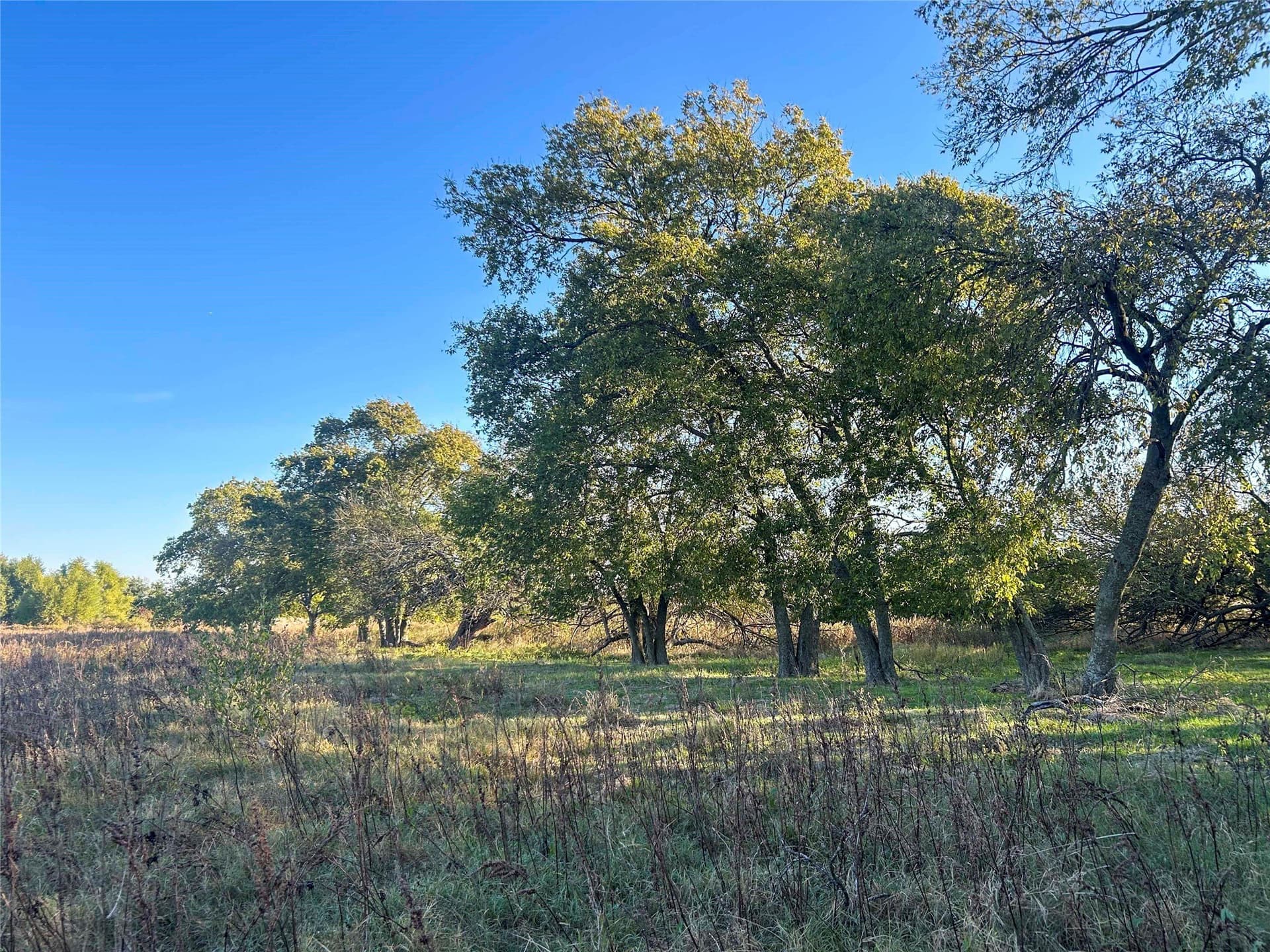 44.51 acres in Hunt County - photo 20