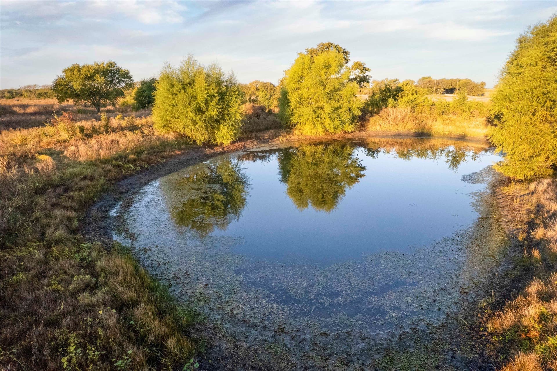 44.51 acres in Hunt County - photo 4