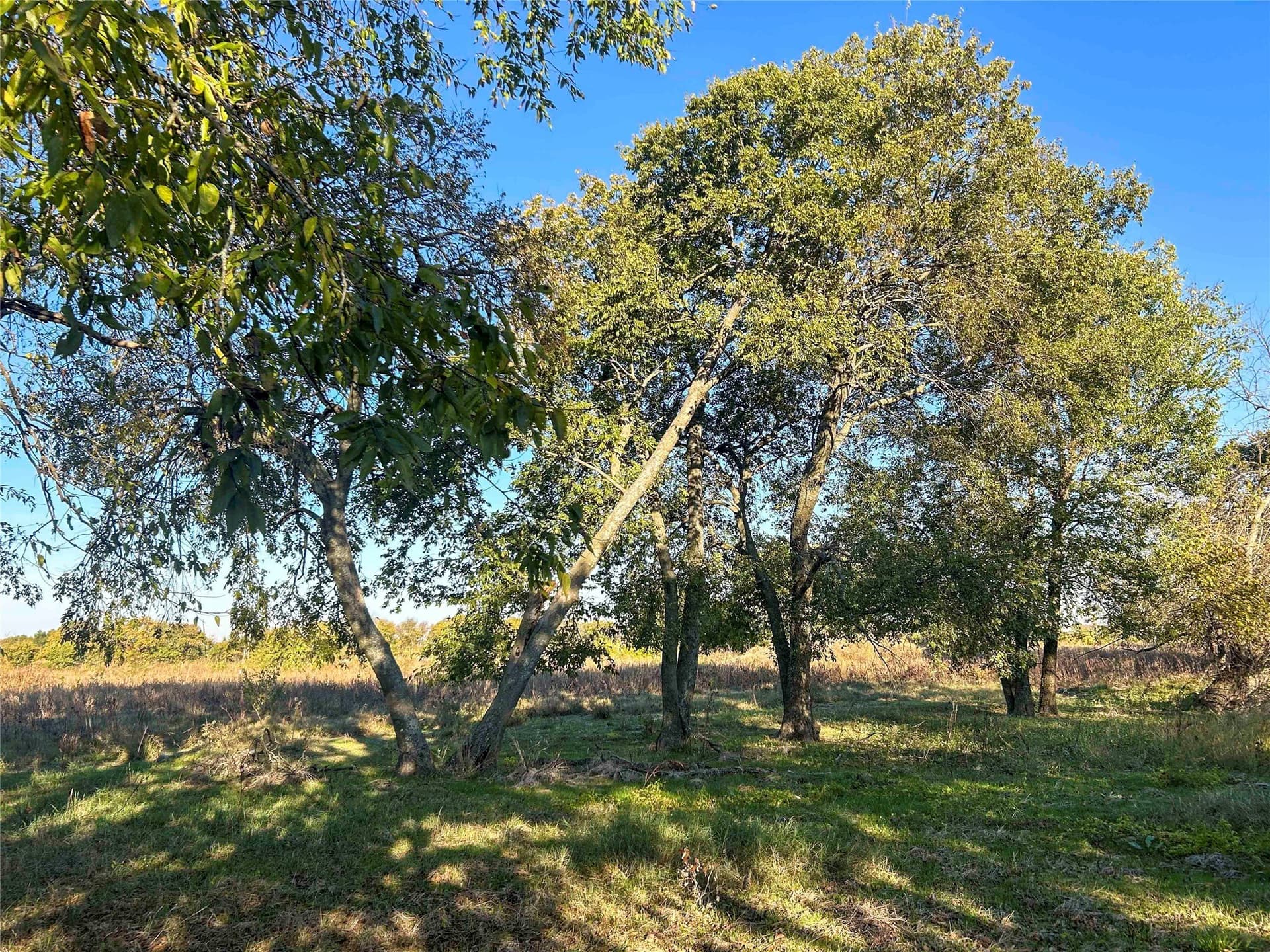44.51 acres in Hunt County - photo 13
