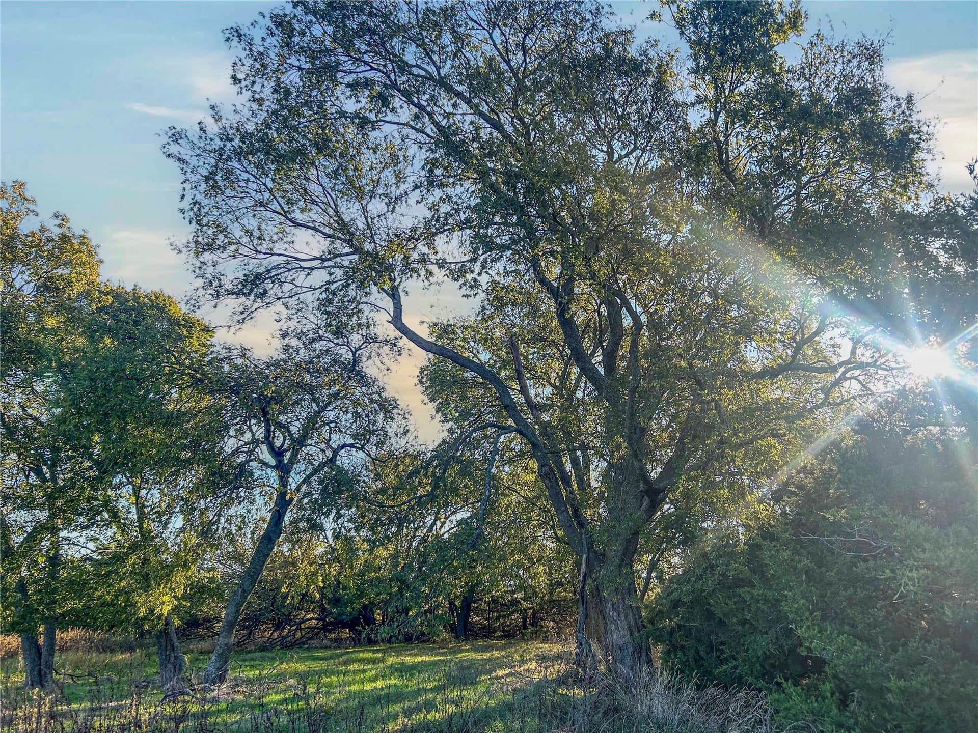 44.51 acres in Hunt County - photo 12
