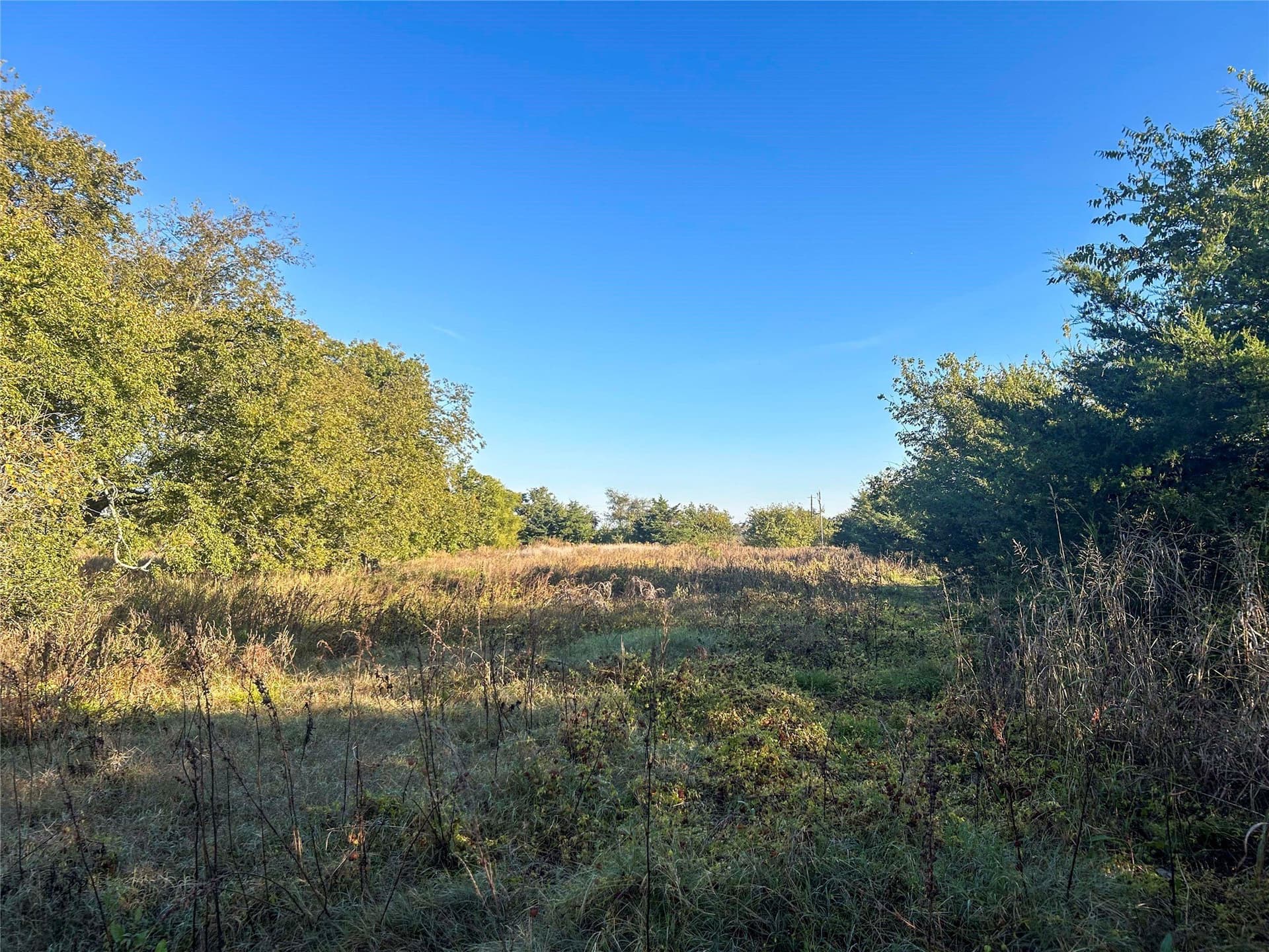 44.51 acres in Hunt County - photo 26
