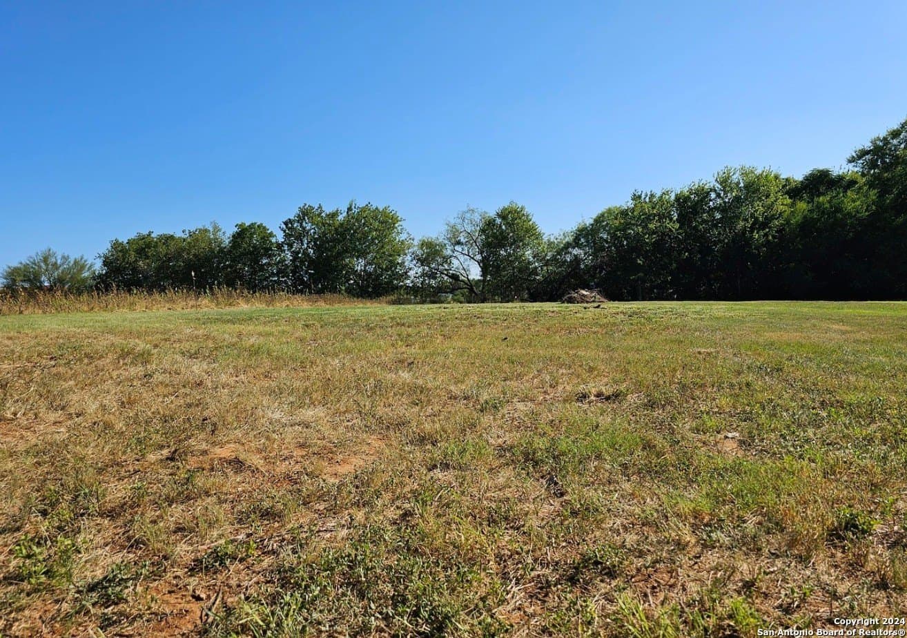 1.6 acres in Wilson County gallery image 4