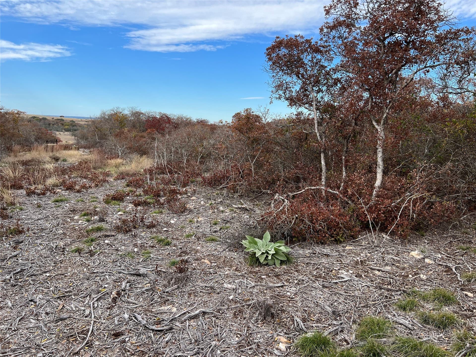 10.01 acres in Hamilton County - photo 16