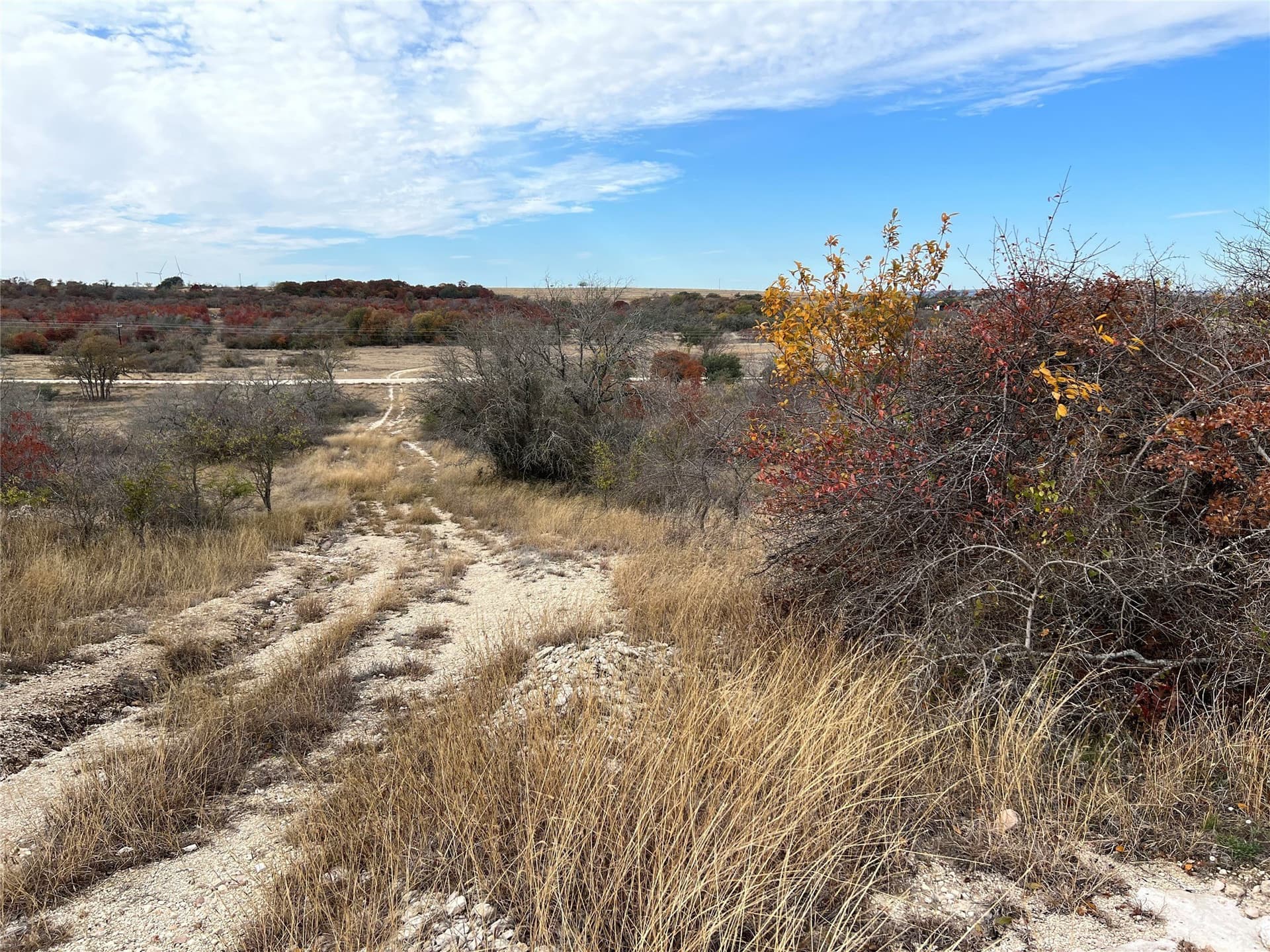 10.01 acres in Hamilton County - photo 12
