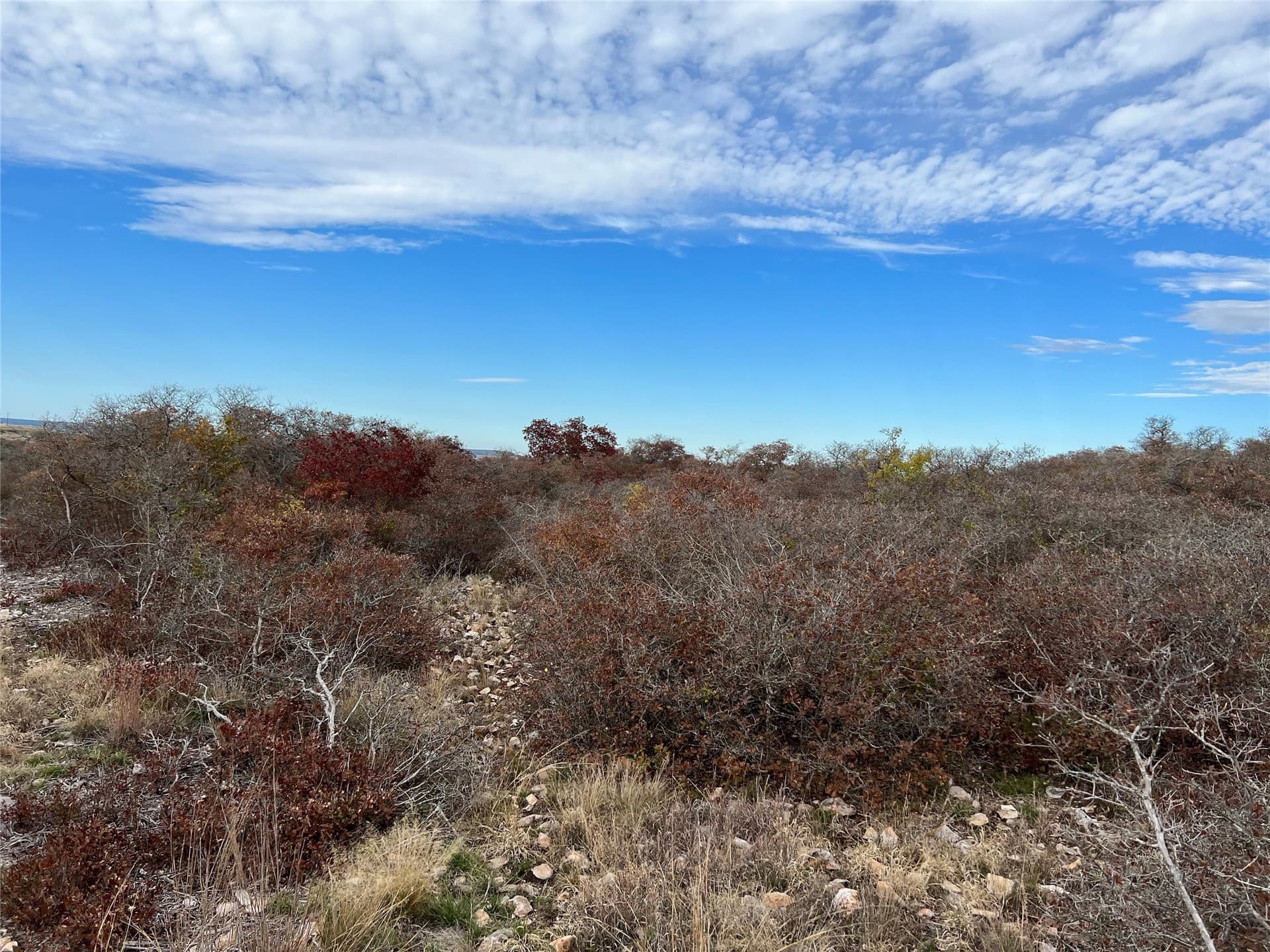10.01 acres in Hamilton County - photo 26