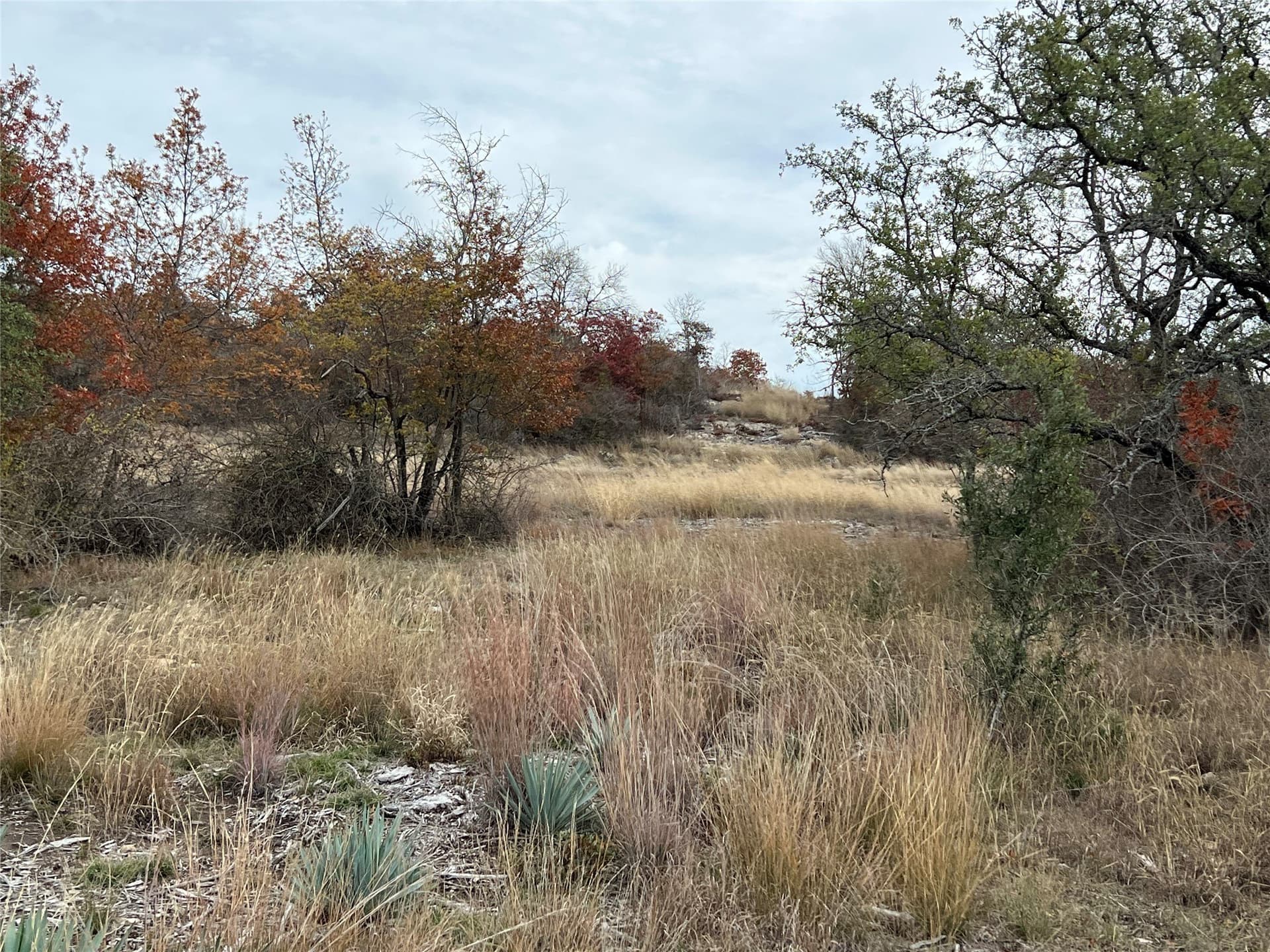 10.01 acres in Hamilton County - photo 6