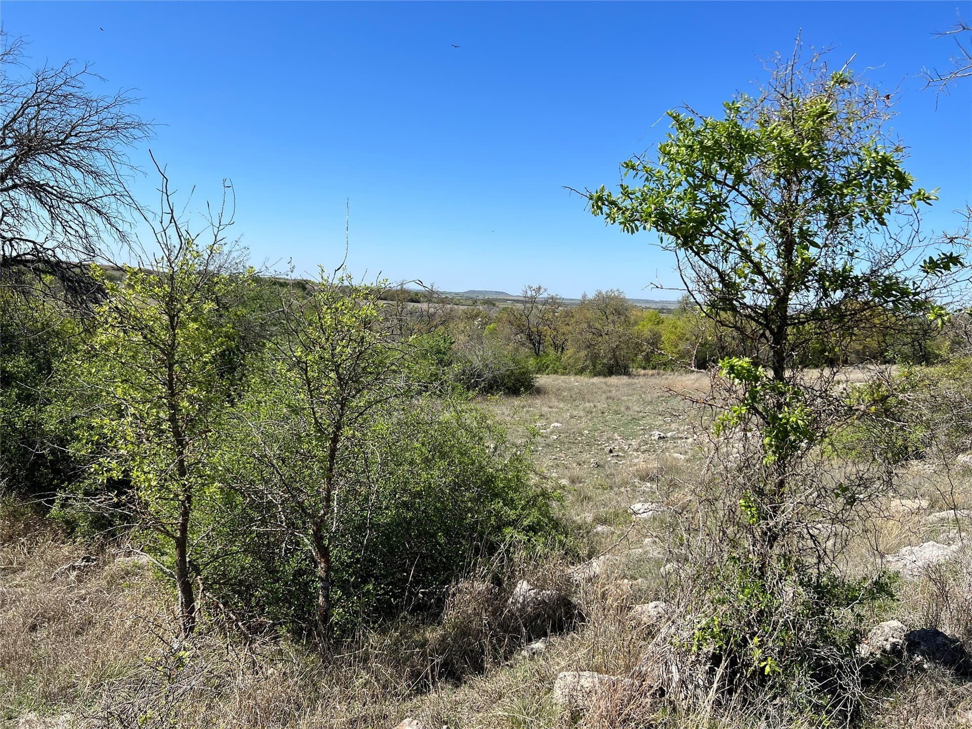 10.01 acres in Hamilton County - photo 28