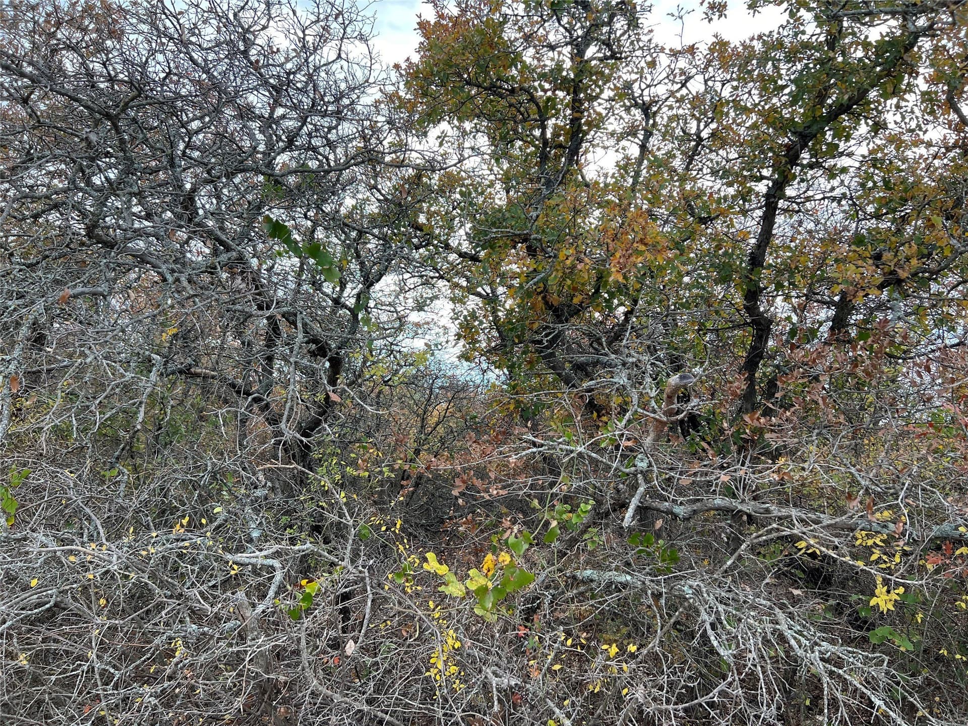 10.01 acres in Hamilton County - photo 14