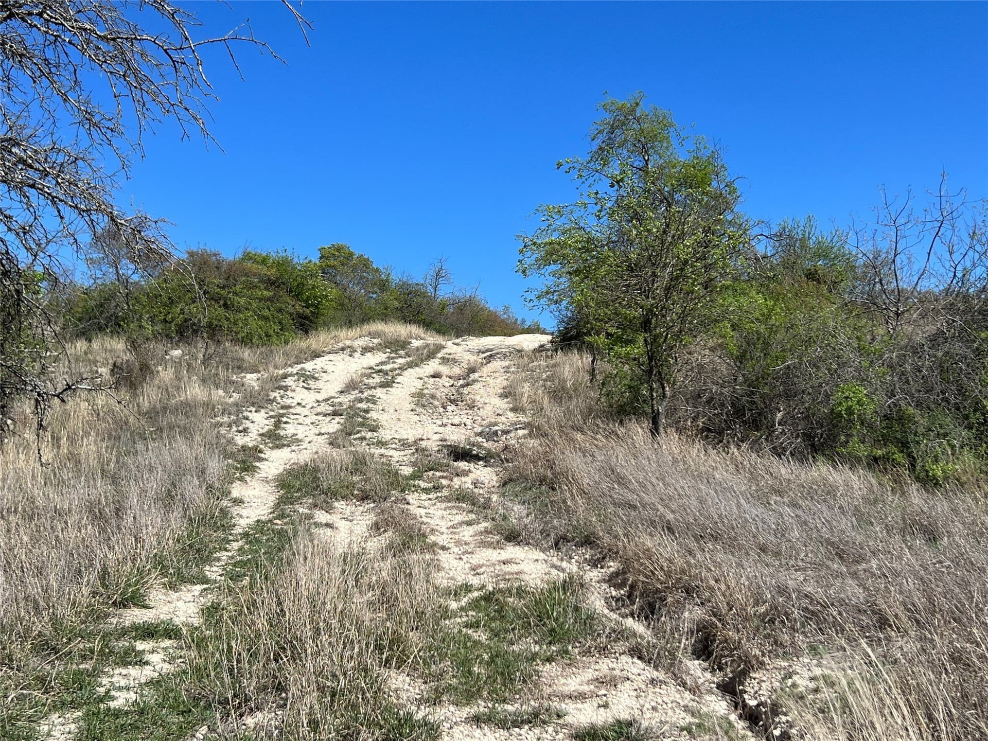 10.01 acres in Hamilton County - photo 19