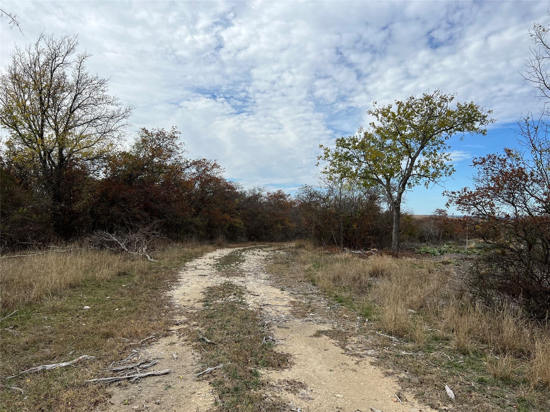 10.01 acres in Hamilton County - photo 18