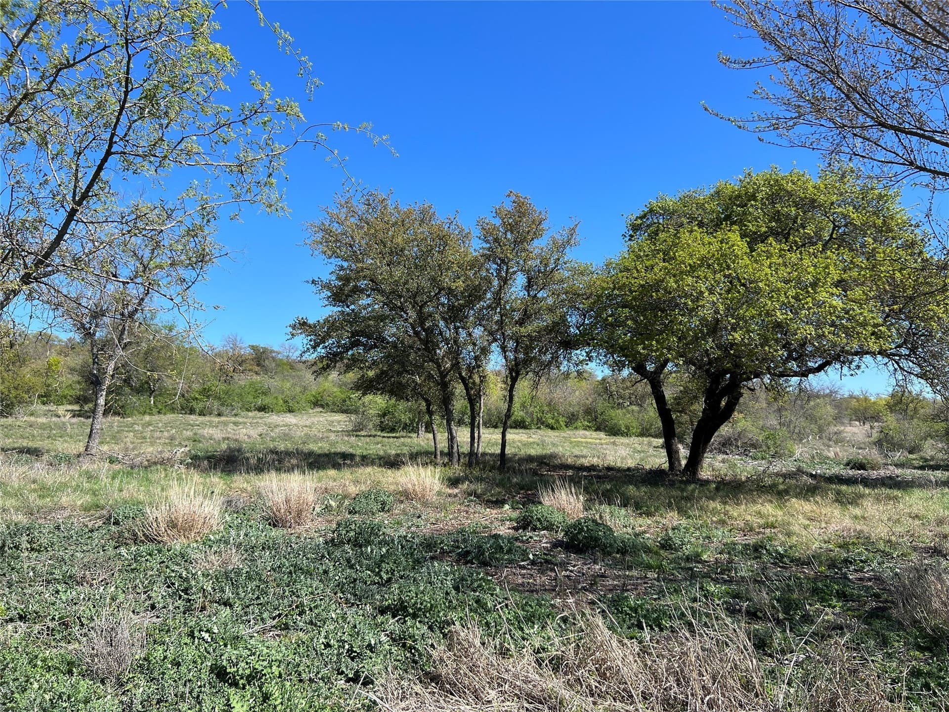 10.01 acres in Hamilton County - photo 7