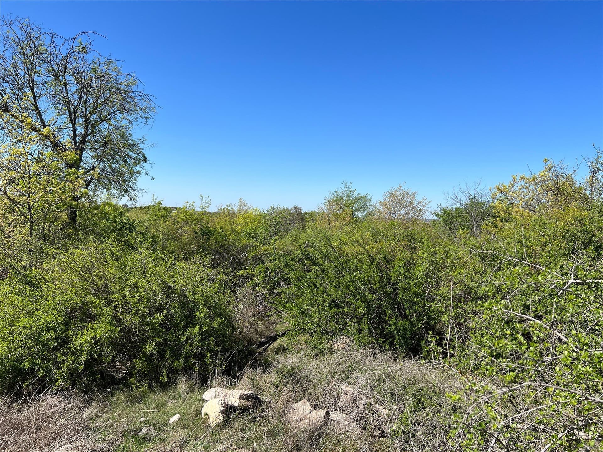 10.01 acres in Hamilton County - photo 2