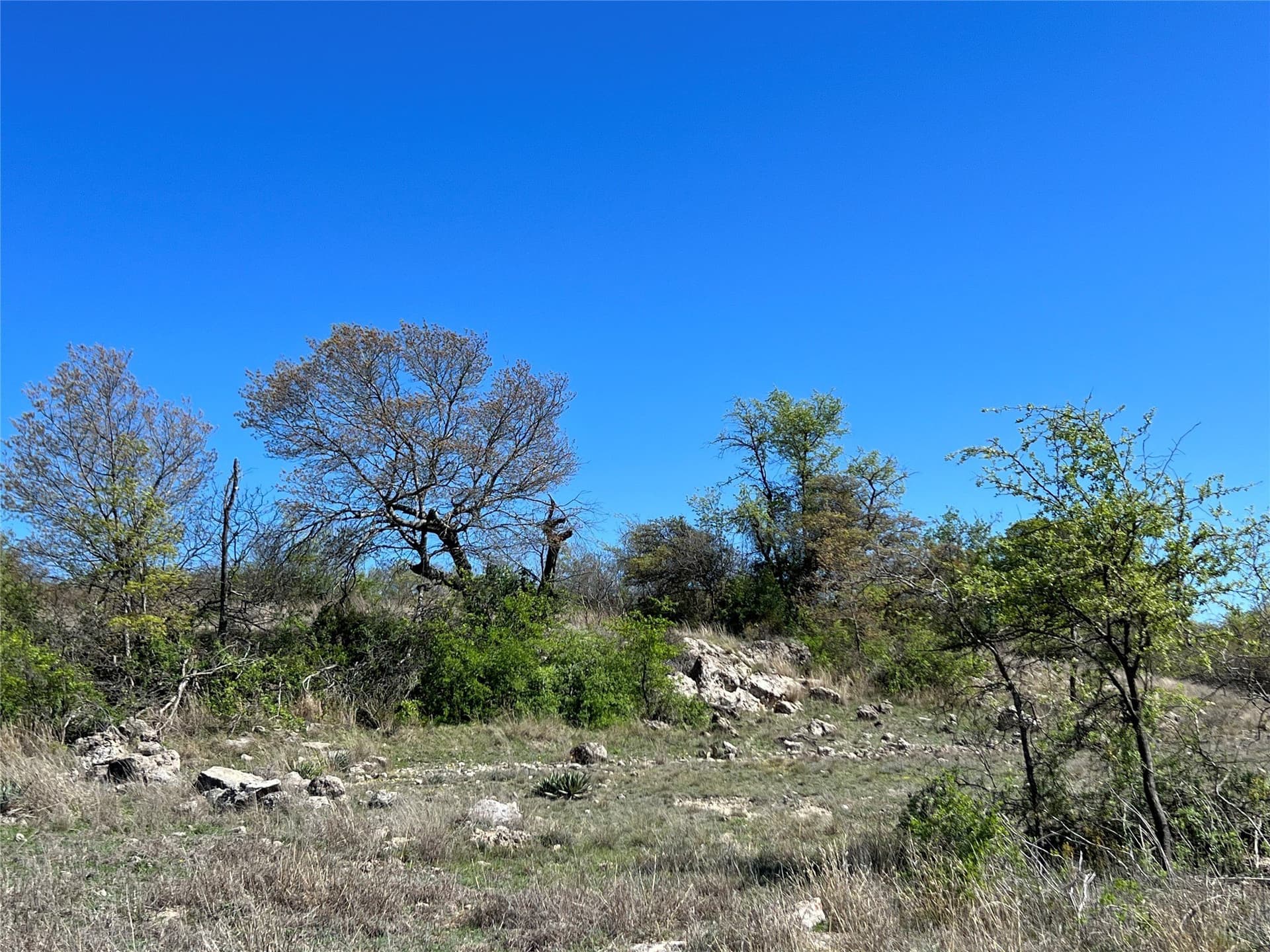 10.01 acres in Hamilton County - photo 17